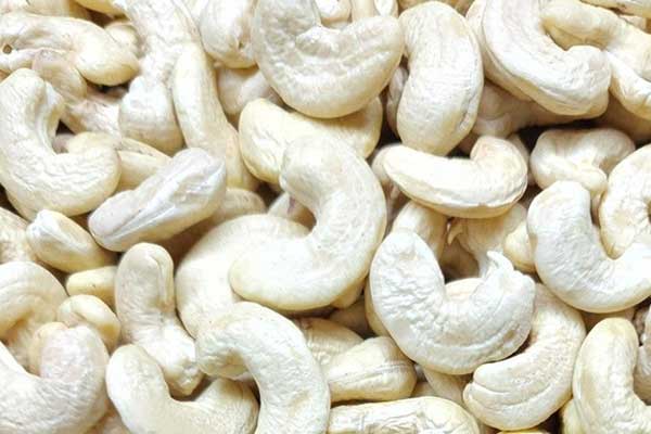 Cashew Nut